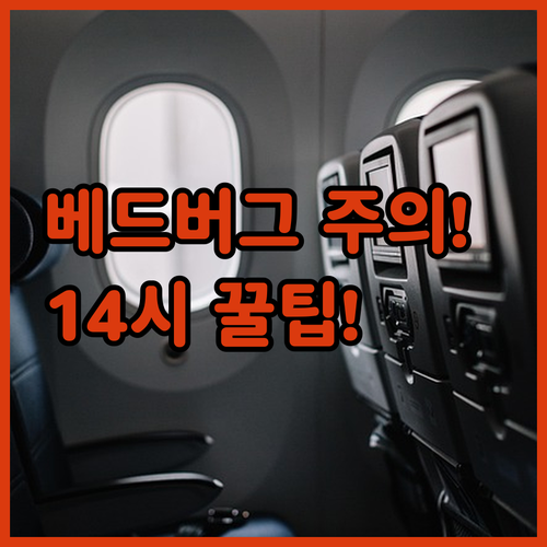 쿤밍 진마비지팡 숙소 완벽 가이드 베..