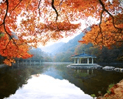 단풍여행 1박2일 버스 단풍구경