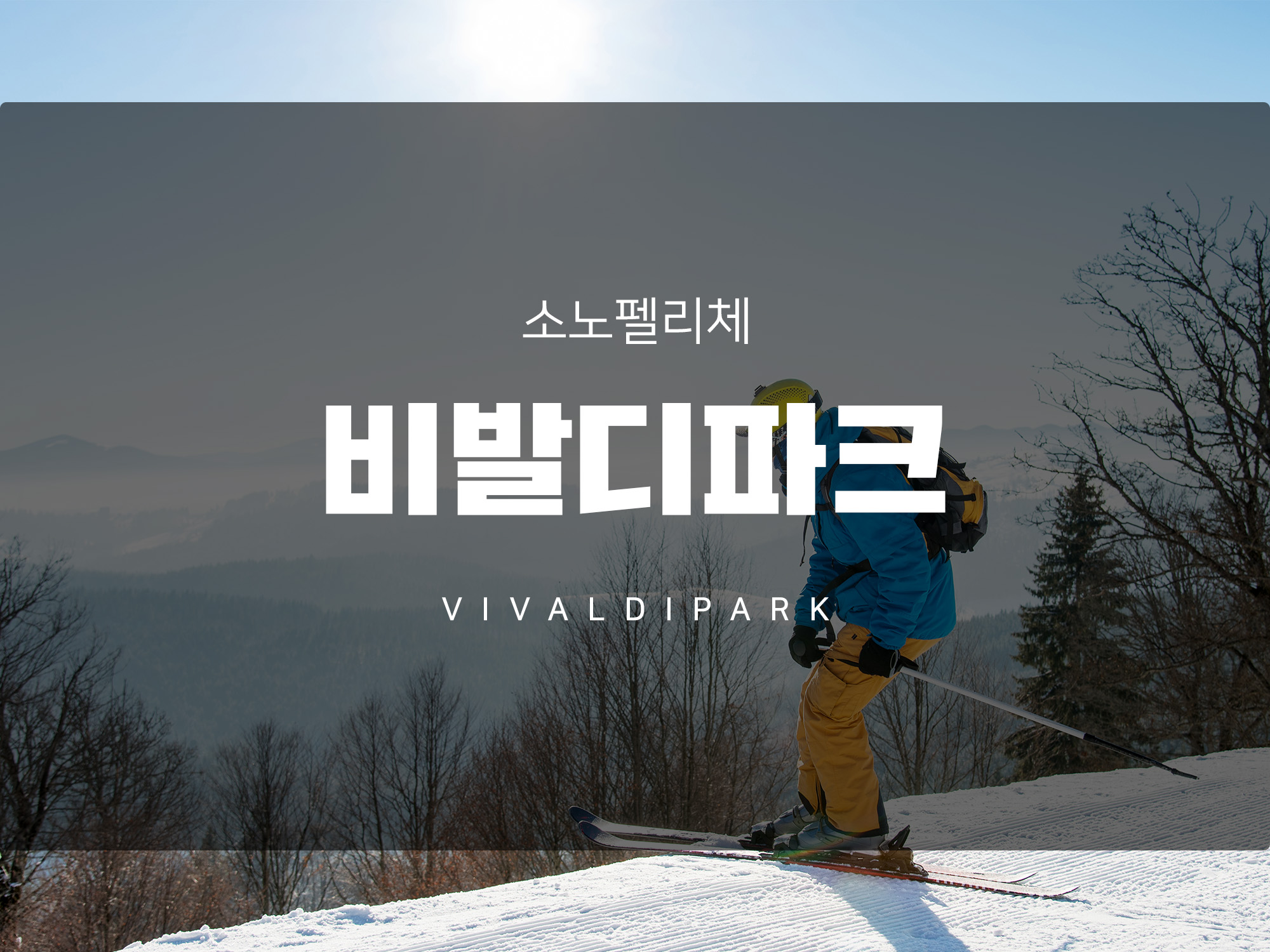 24/25시즌 스키장 개장 &lt;비발디파크 &gt; 개장 및 운영현황
