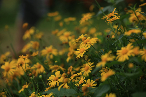 하루 한 문장, 우주 리듬을 타라: Ep.2 진정한 자아의 발견