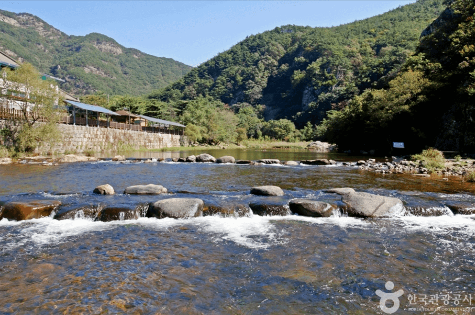보은군 서원계곡