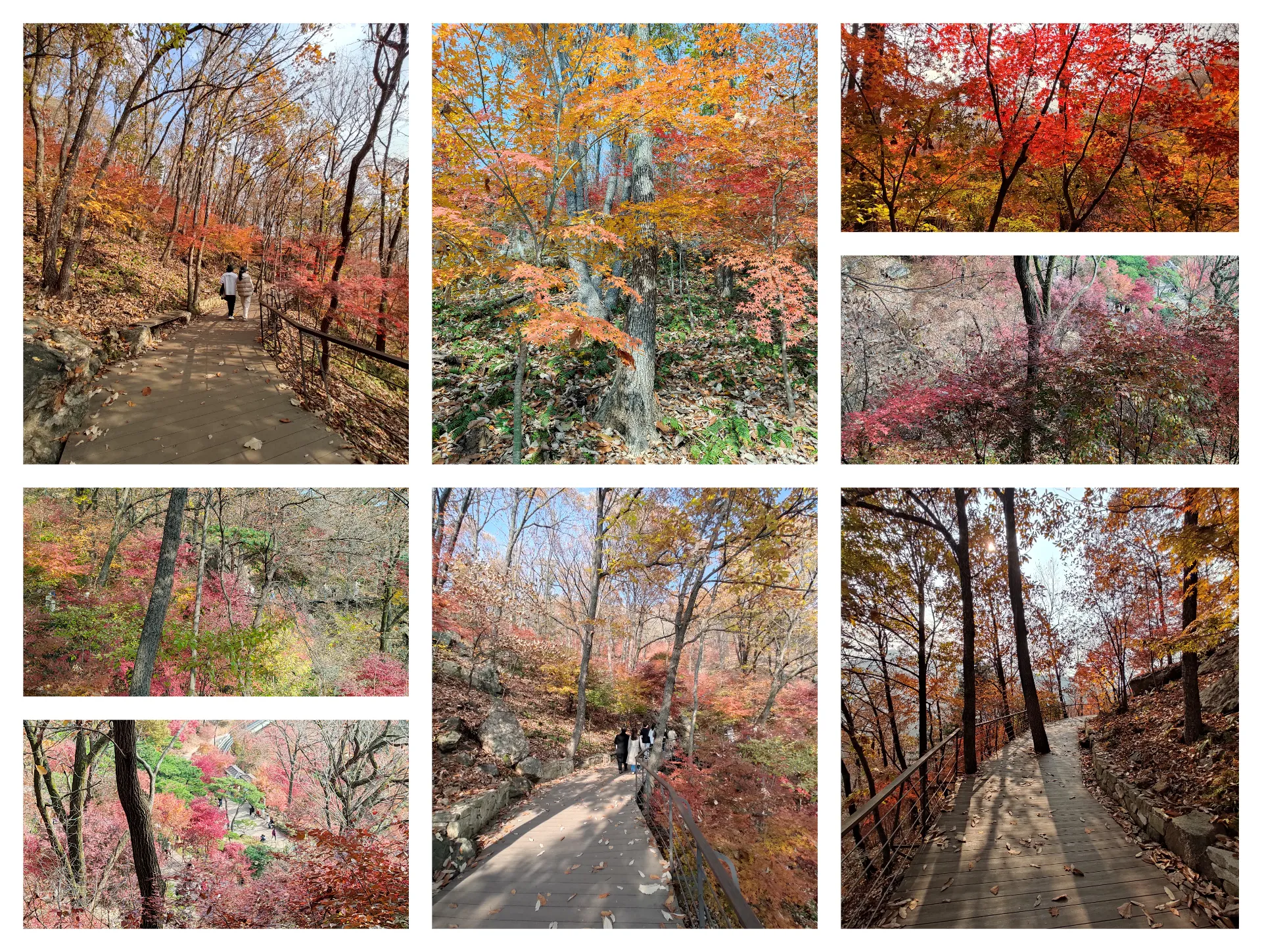 가을 화담숲