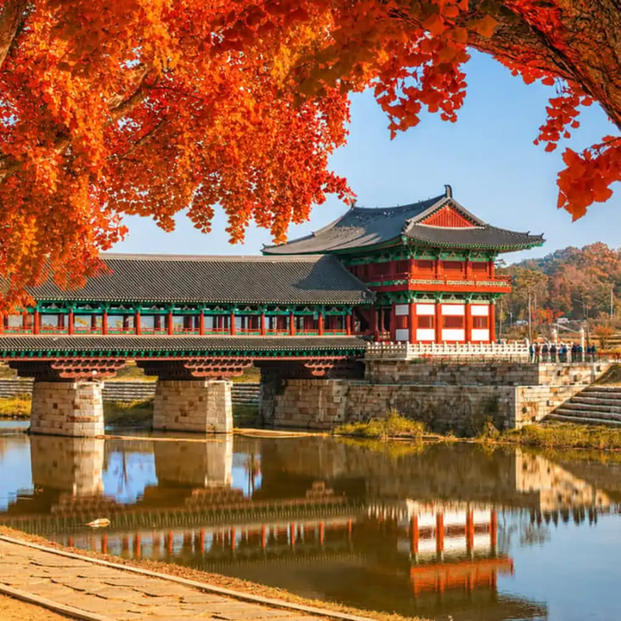 10월 단풍 명소