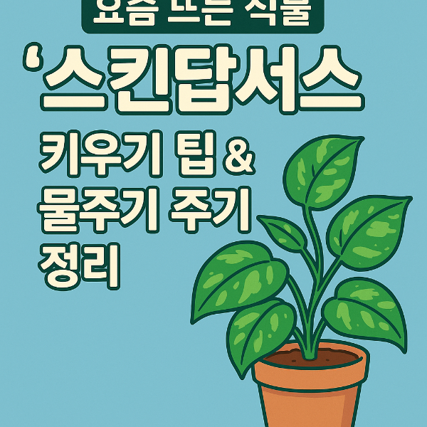 스킨답서스 키우기