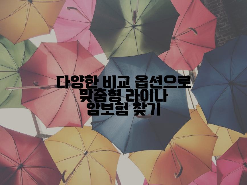 다양한 비교 옵션으로 맞춤형 라이나 암보험 찾기