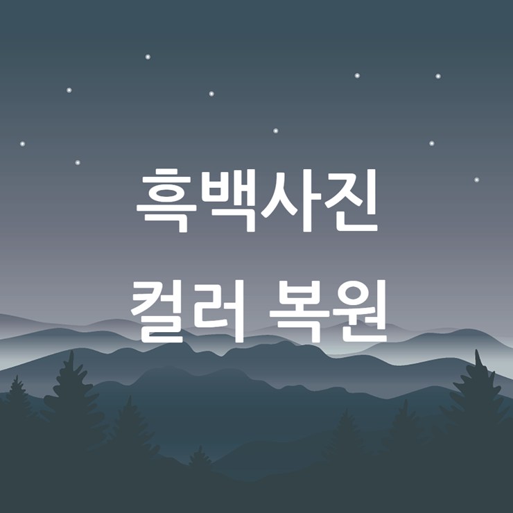 흑백사진 복원