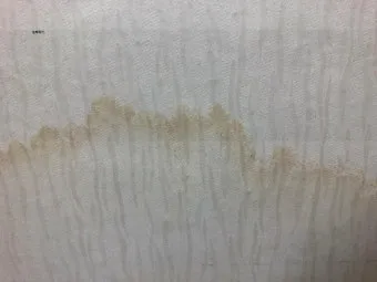 빨래 얼룩 제거 커피 김치 혈액 산소계표백 안전 사용법_3