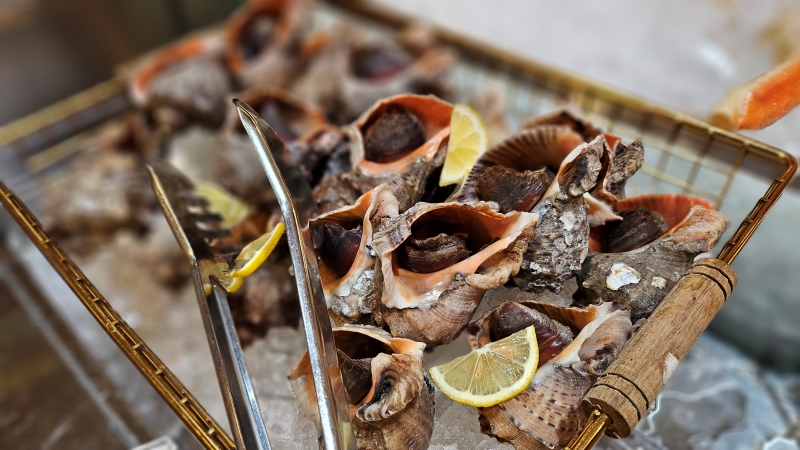 인스파이어 쉐프스키친20