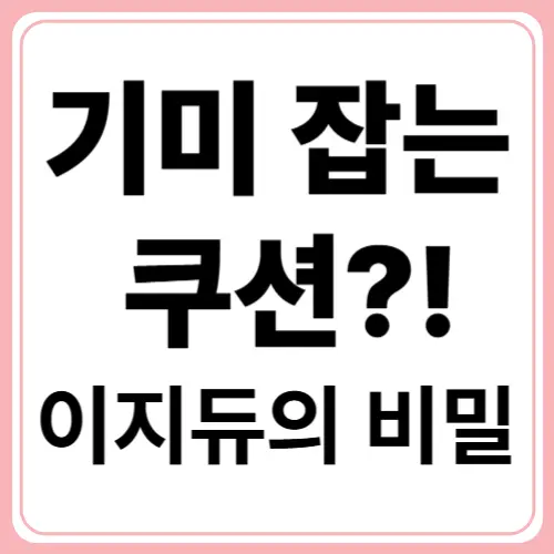 잡티 커버와 피부 재생! 두 마리 토끼 잡는 쿠션은?