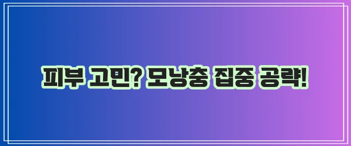 모낭충 없애는 방법 확실하게 알아봐야죠