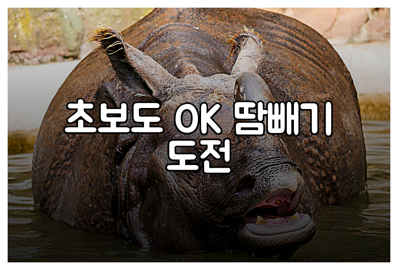 초보도 OK 땀빼기 도전