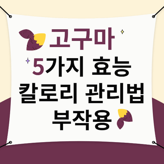 고구마 효능,칼로리, 관리법, 부작용