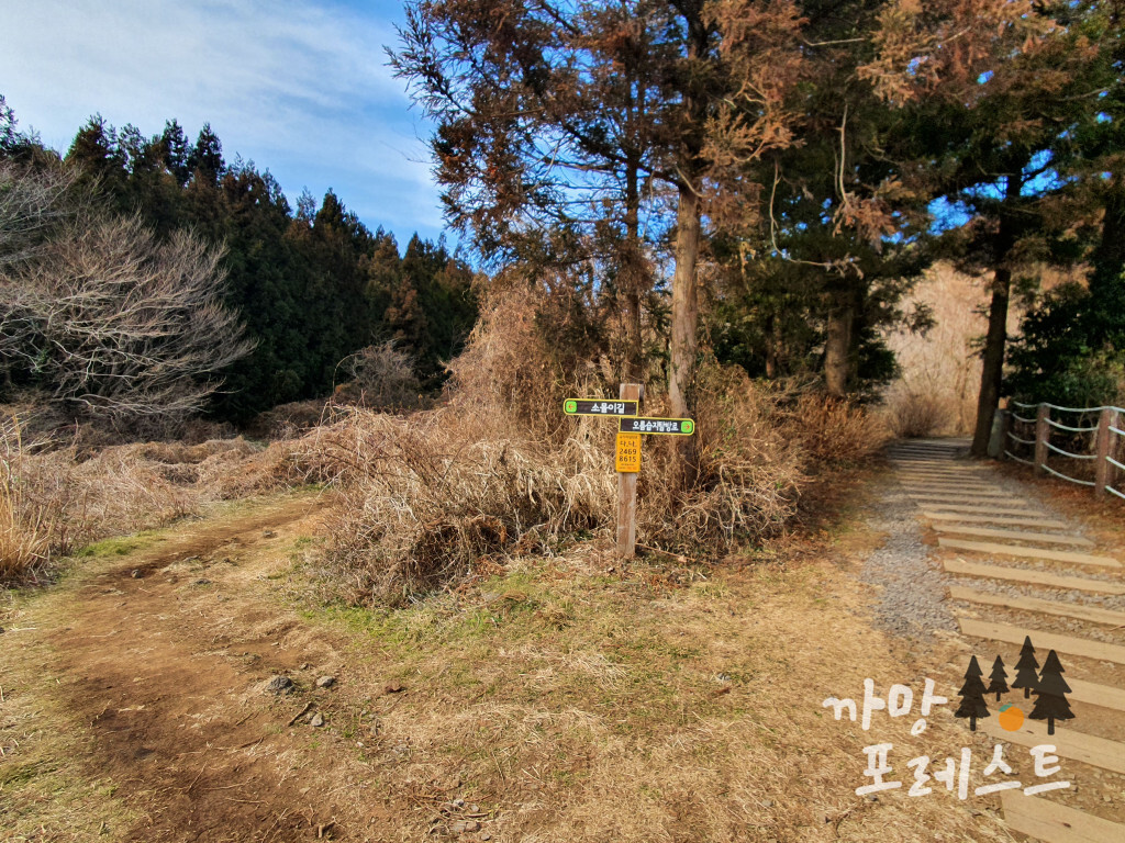 물영아리 오름 초입