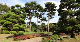 홍성 가볼만한곳 베스트 10 모음