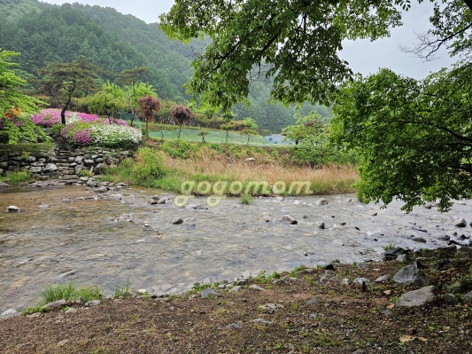 모야의숲 계곡가는길
