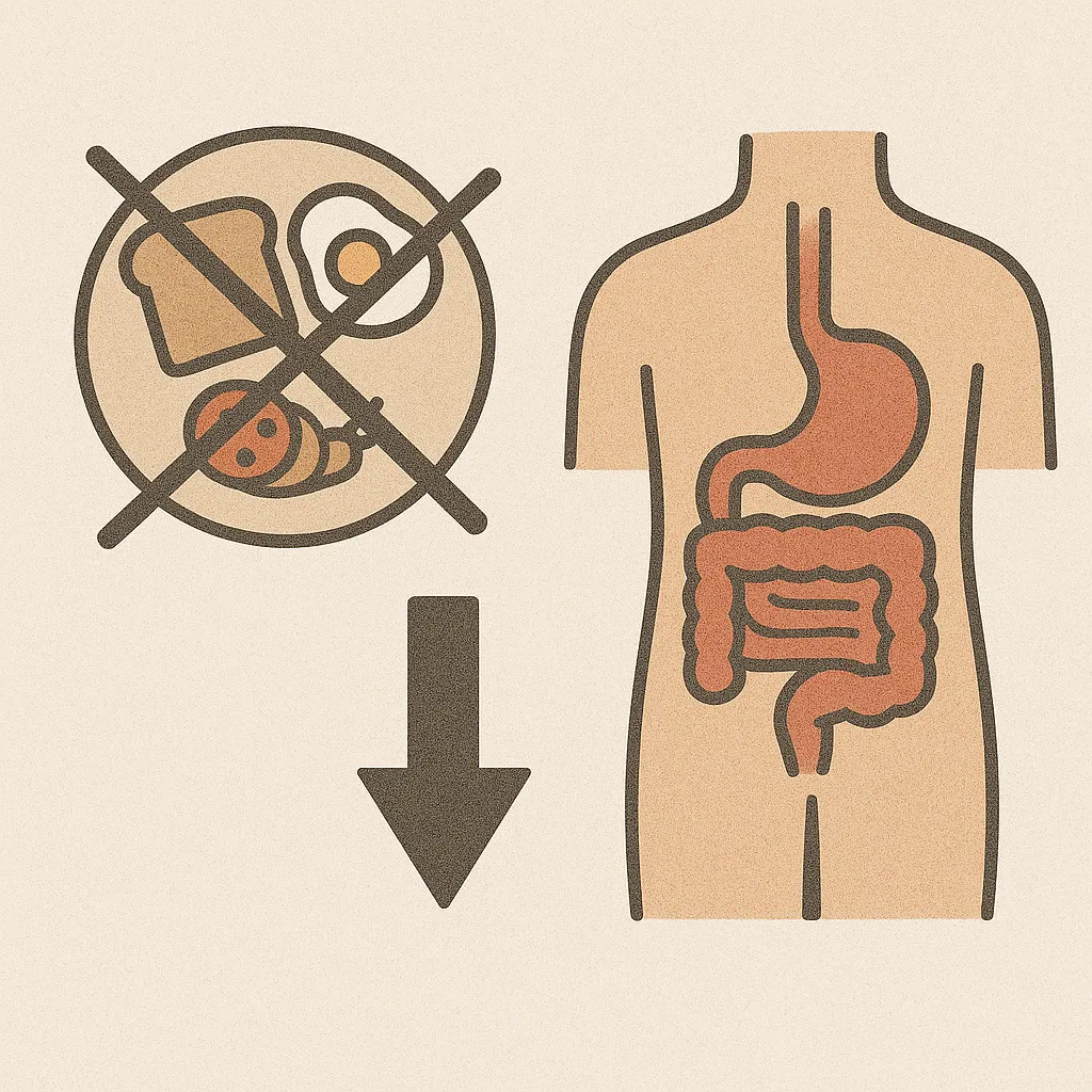 아침-식사를-거르면-대사에-어떤-변화가-생길지를-상징적으로-표현한-일러스트-이미지로-빈-접시와-소화기관을-대조적으로-묘사