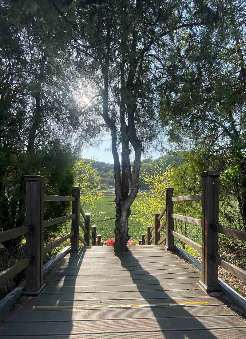 화본역 급수탑 가는길