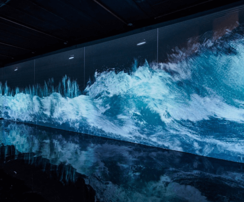 정글미디어파크 경주 실내 가볼만한곳 플럭스