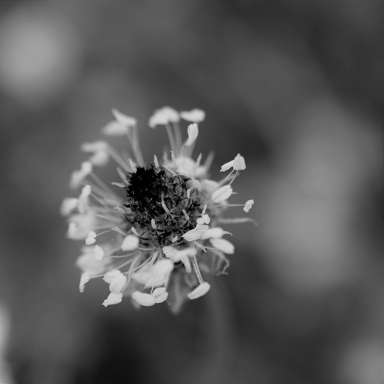 비염 치료방법과 비염에 좋은 음식