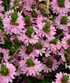 전기요금 할인 중복 받을 수 있나요? 가능한 조합 총정리