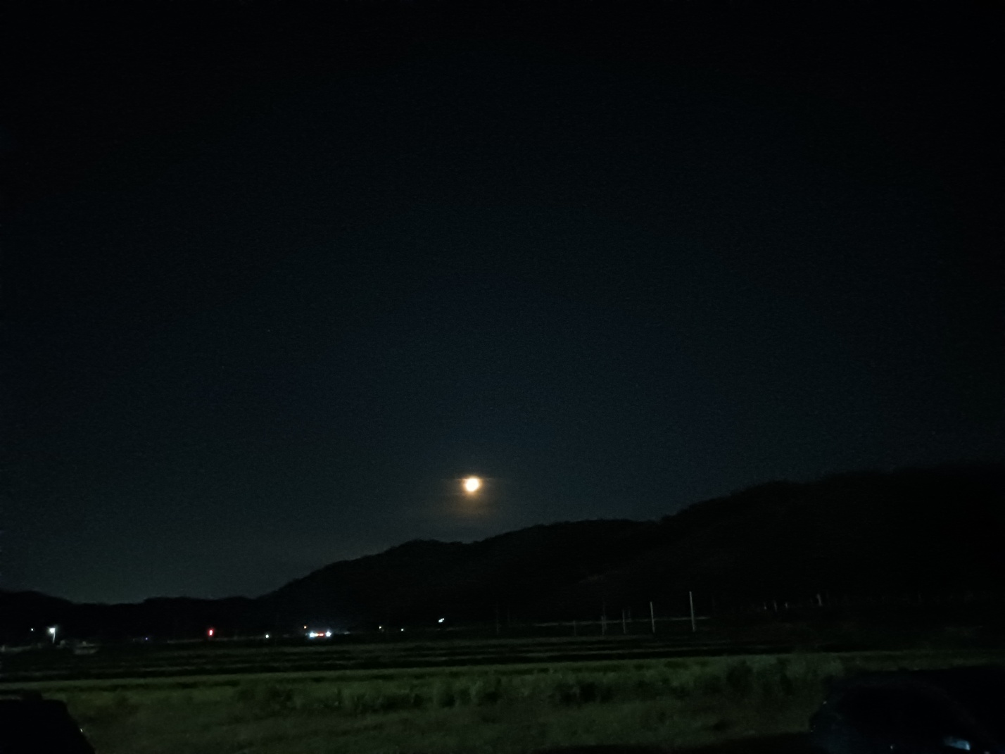 중앙탑축제