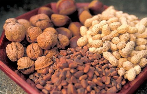 2024 정월대보름 라이브 방송 보기, 부럼 먹방 필수!