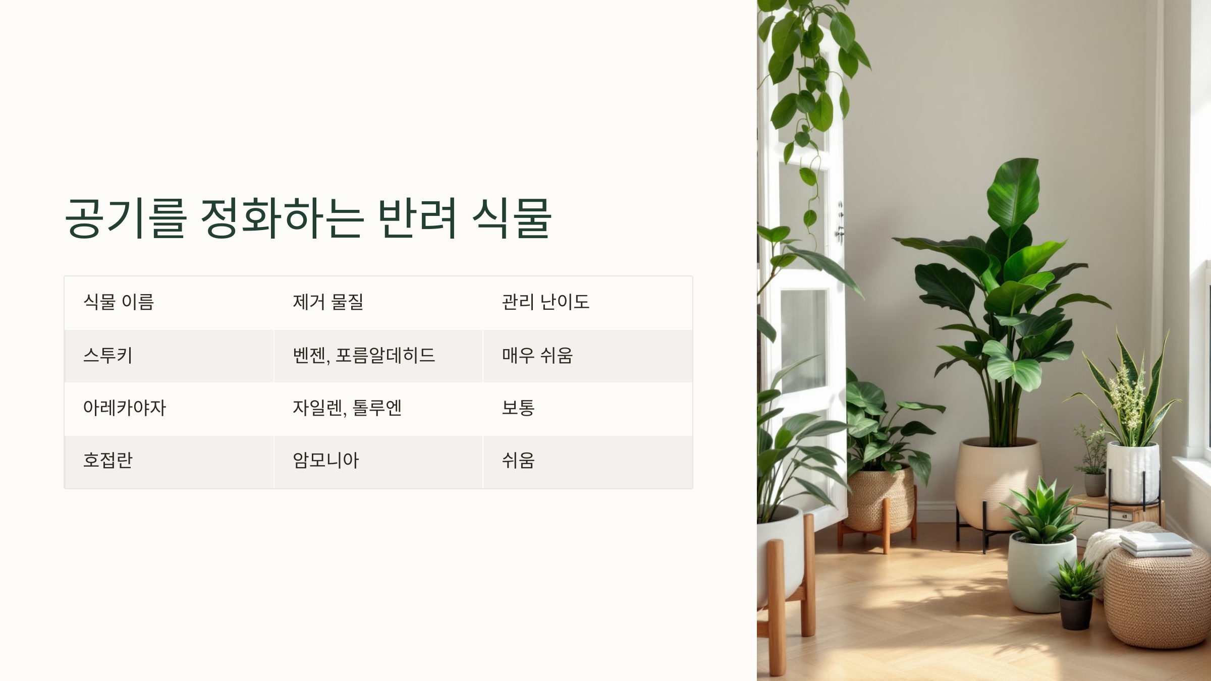 공기를 정화하는 반려 식물