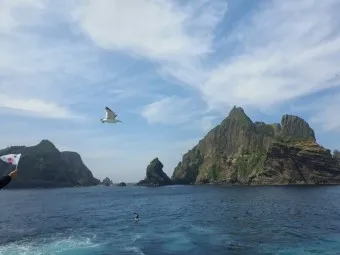 독도 배편 예약 시간표 요금 예매_19