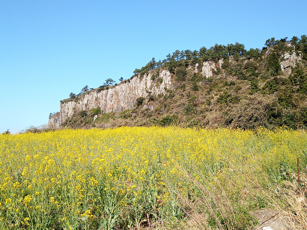 올레9코스, 대평포구에서 화순금모래해수욕장까지