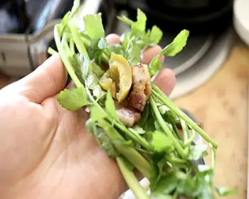 원동 미나리축제_2