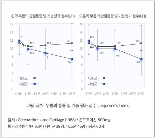 콘드로이친-효능-효과