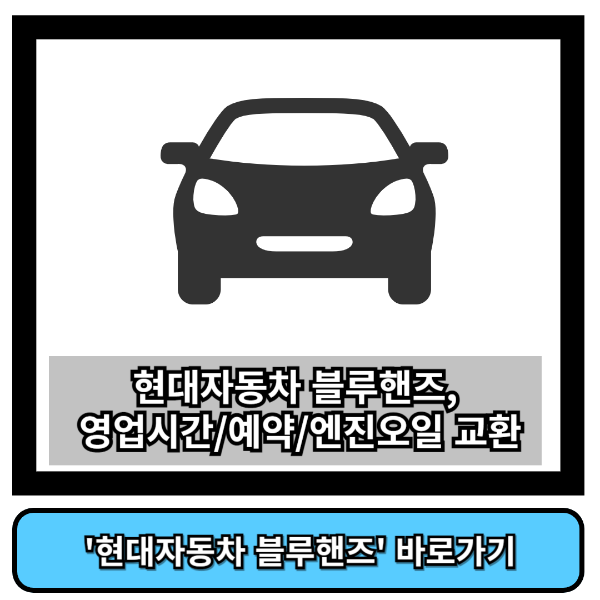 현대자동차 블루핸즈