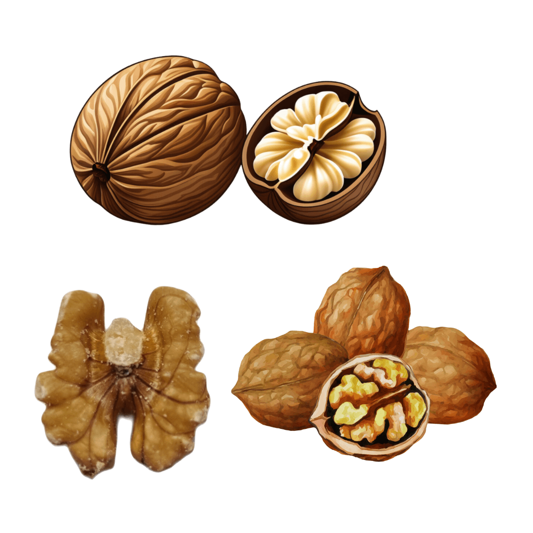 호두 하루 섭취 권장량 _ 하루 3~4개