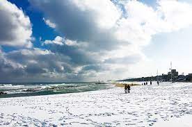 겨울여행 떠나고 싶은 곳 베스트 2. 강릉