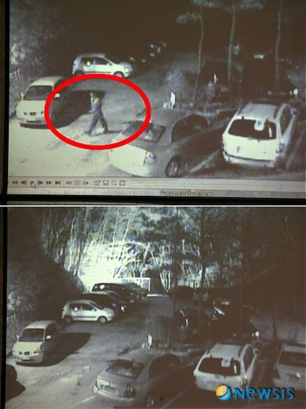 꼬꼬무 봉대산 불다람쥐