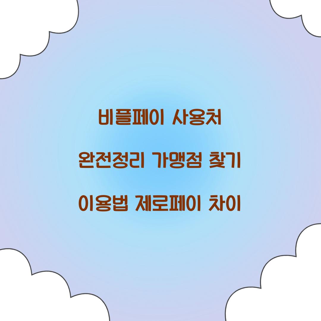 비플페이 사용처