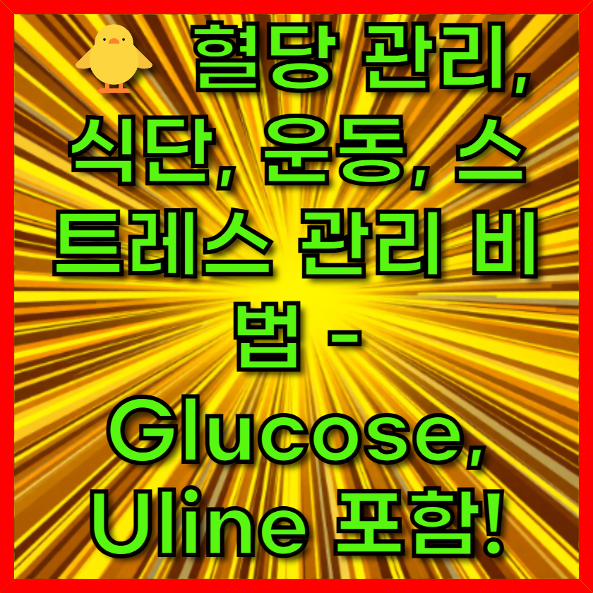 🐥 혈당 관리, 식단, 운동, 스트레스 관리 비법