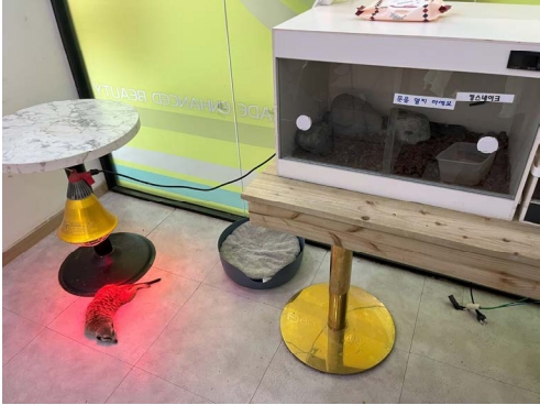 법 개정에도 사각지대는 여전하다