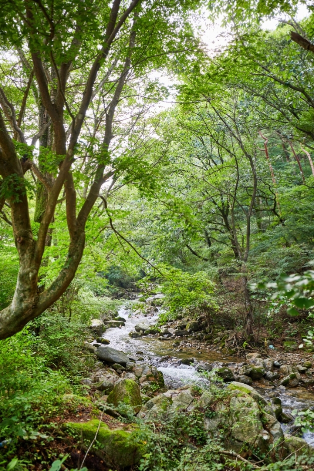 완주 가볼만한곳 베스트10
