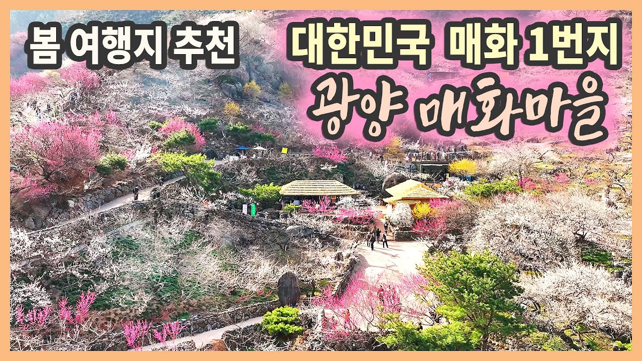 광양 가볼만한곳 - 광양매화마을