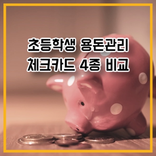 초등학생 용돈관리 체크카드 4종 비교