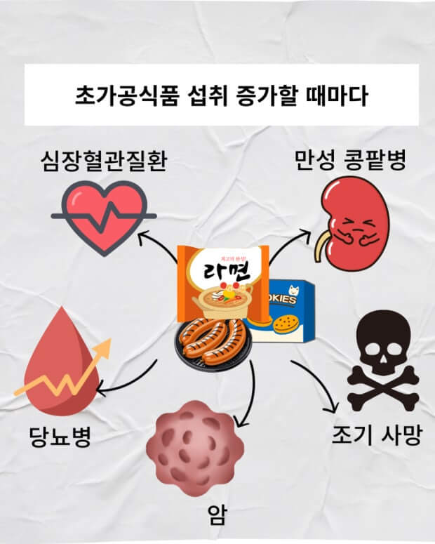 초가공식품은 질환의 주요인