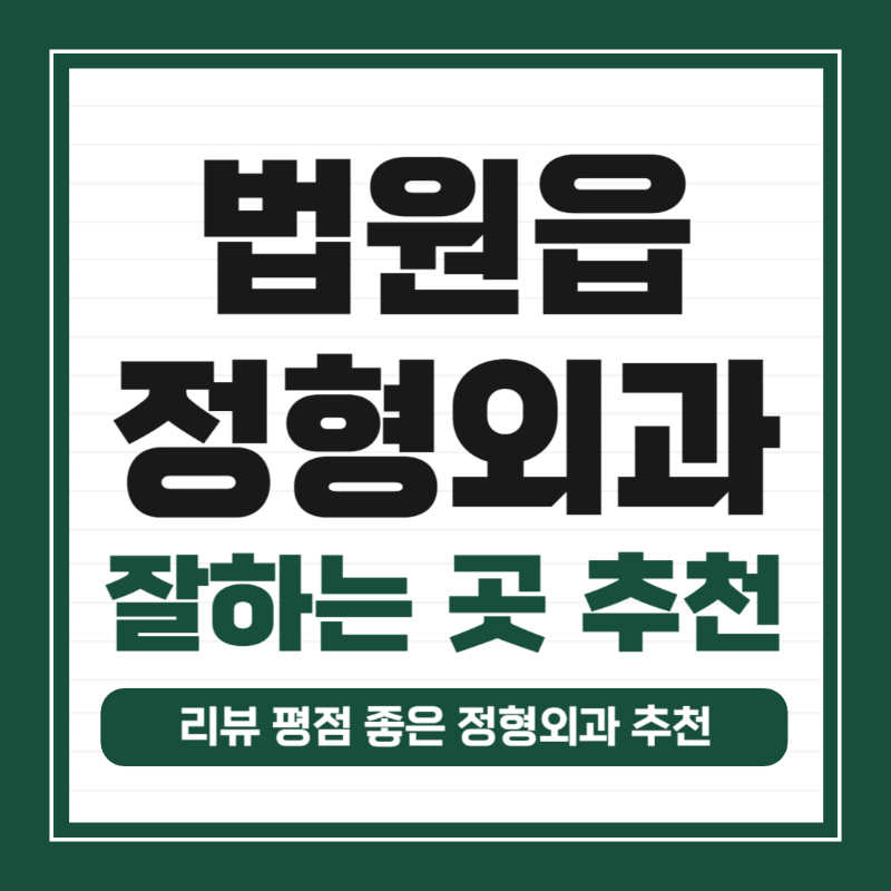 파주시 법원읍 정형외과 유명한 곳 잘하는 곳 추천 TOP 5