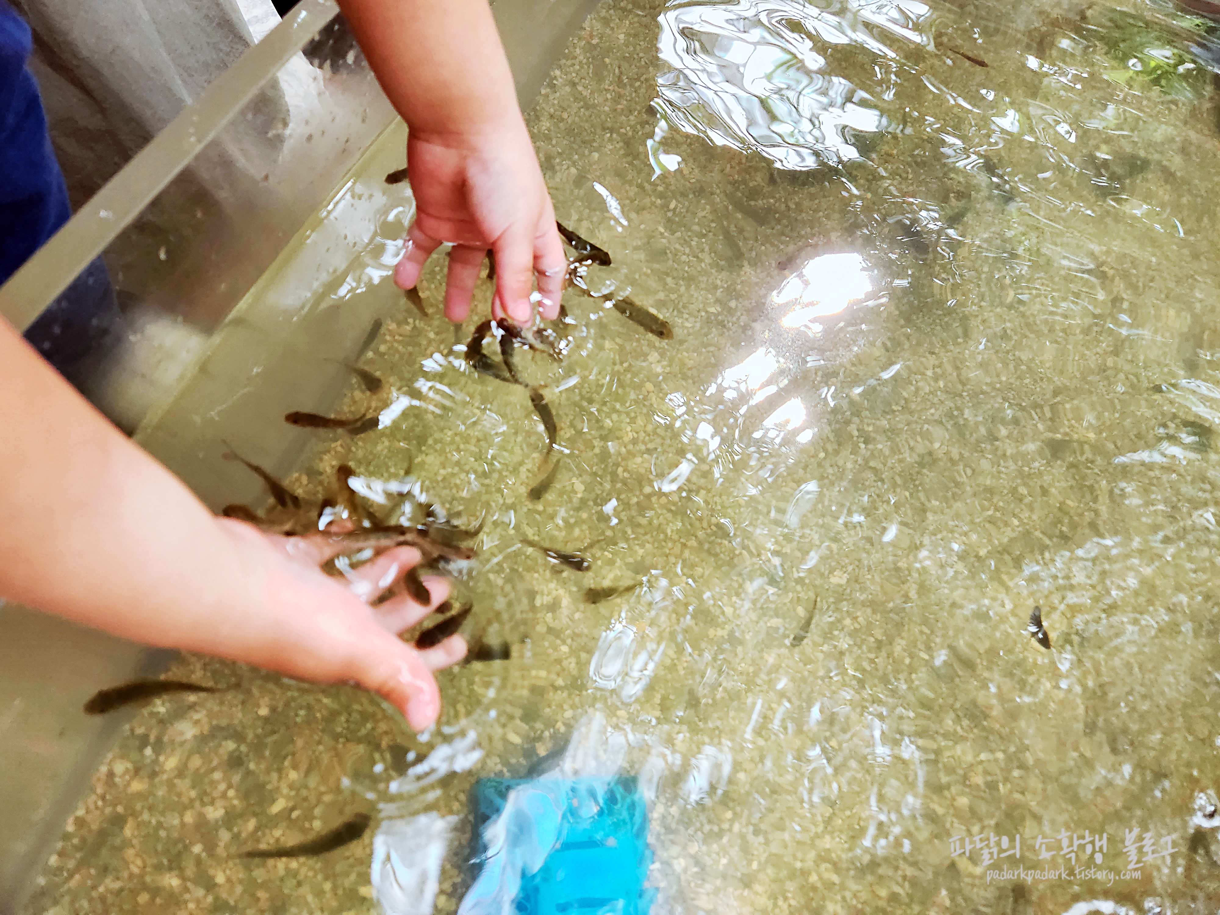 아산생태곤충원_닥터피쉬