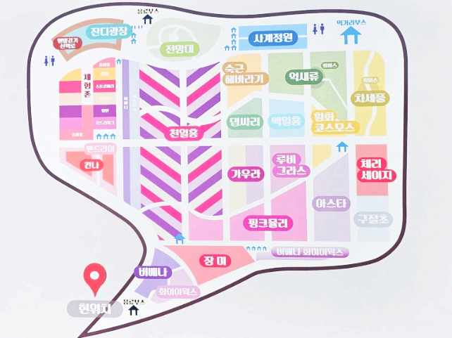 서울근교 경기도 양주 나리공원 천일홍 축제