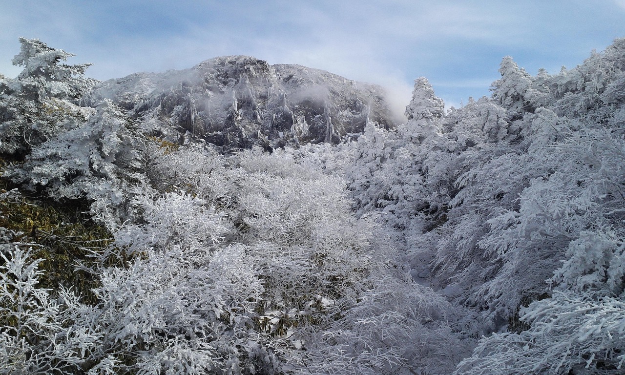한라산 설경 사진
