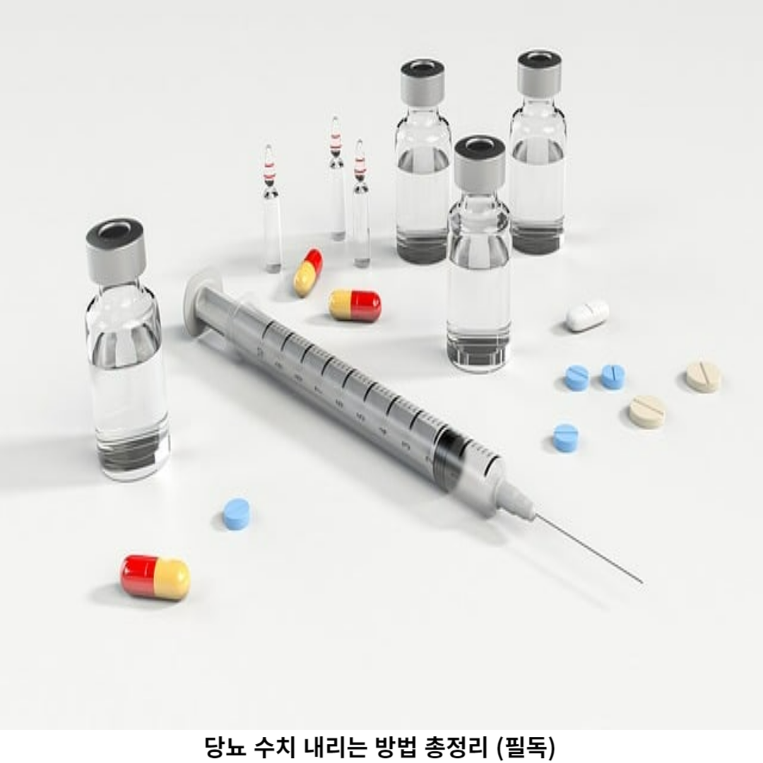 건강 검진과 의사 상담