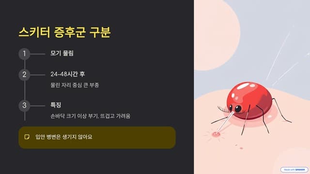 스키터 증후군 구분