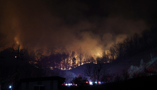 고향사랑 e음 산불기부 방법