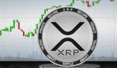 XRP ETF 투자 전략 : 암호화폐 시장의 다음 주자
